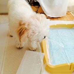 「取り合い⁉︎」サムネイル3