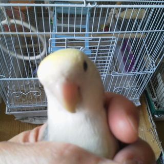 たくさんの応募ありがとうございました。