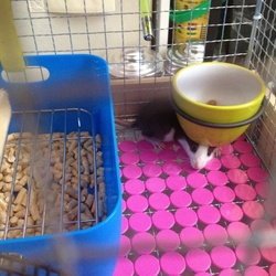 「いらっしゃいませ(^-^)」サムネイル1