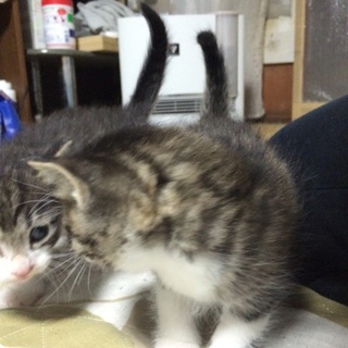 応募者多数の為1度募集締め切らせていただきます。