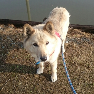 持病があるけどまだまだ元気！