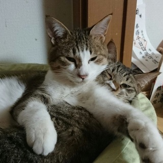 人も大好きです