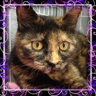 可愛い♪モアちゃん♪