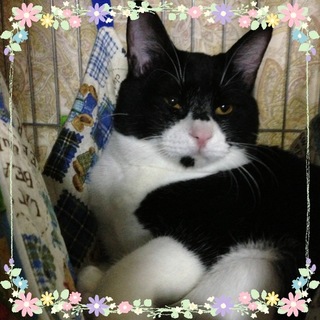 可愛い♪健くん♪8ヶ月くらい