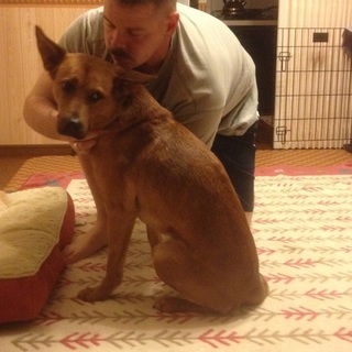 数名の方とお見合い予定の一時停止