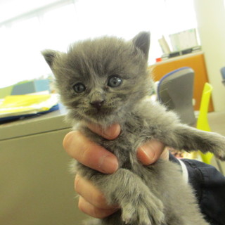 兄弟で迎えて頂きました。