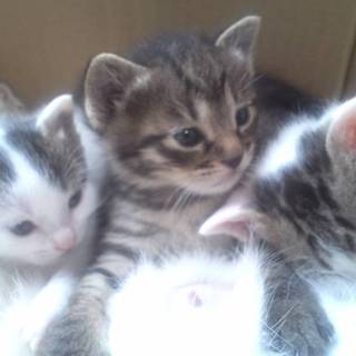 生後1か月男の子