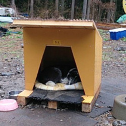 手作りの犬小屋