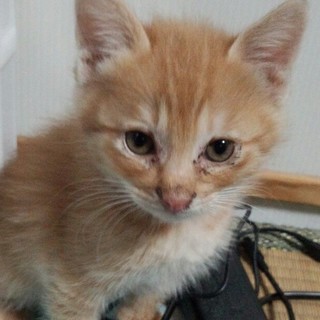 ありがとうございました！