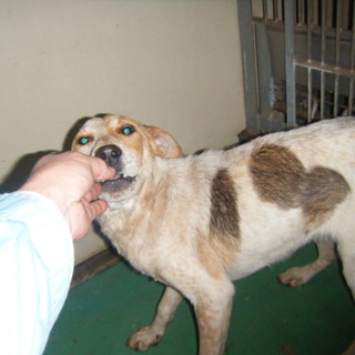 やさしい家族に出会うことができました！！