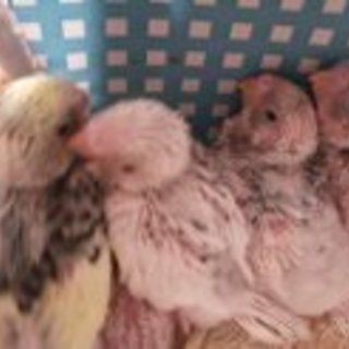 たくさんの応募有感謝！！