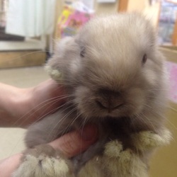 5月4日から家族w