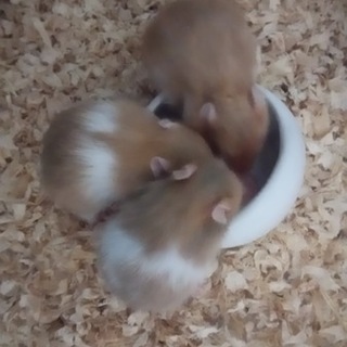 【ありがとうございました！】