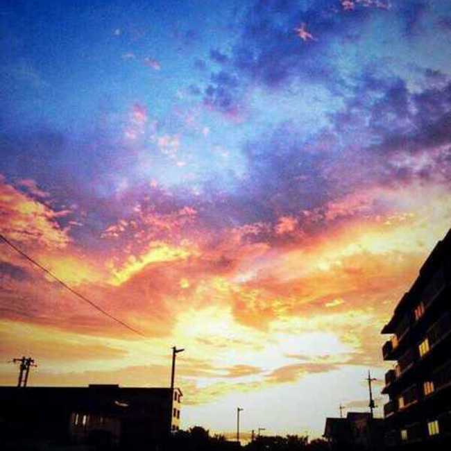 翠夜のカバー写真