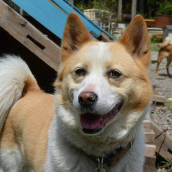 サチヲさん　カラーが取れました。