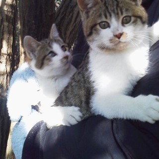 兄妹一緒に迎えて頂き、幸せを掴みました。