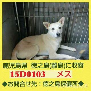 この子の命を救ってください。