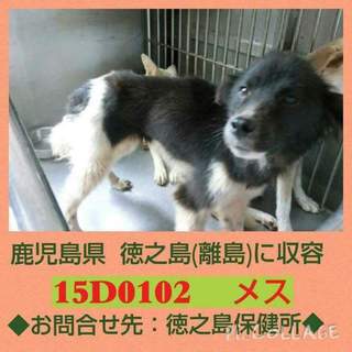 この子の命を救ってください。