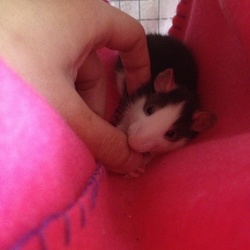 おりこうさん(^-^)