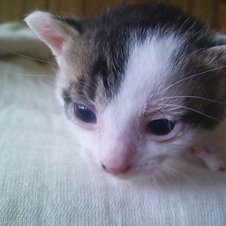 3月29日生まれ☆