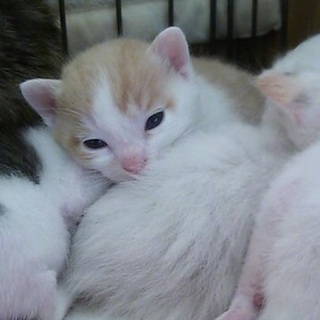 3月29日生まれ☆