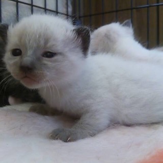 3月29日生まれ☆