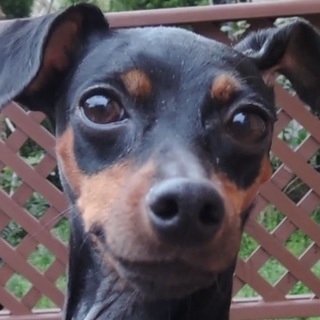 声でかい、活発で運動神経抜群　クララ