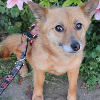 くりくりおめめが可愛い小柄の和香菜です。