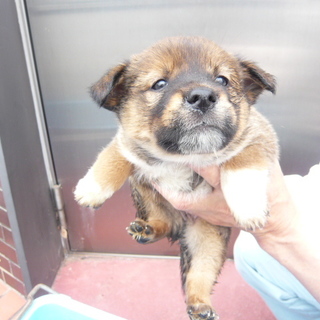 それぞれ譲渡されたそうです！！