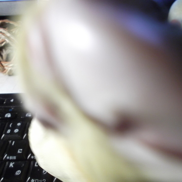 カメラにどおおおおおおおん！