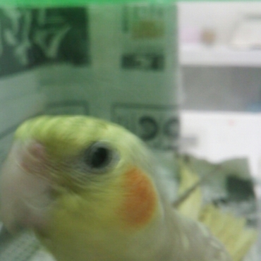 はじめての病院