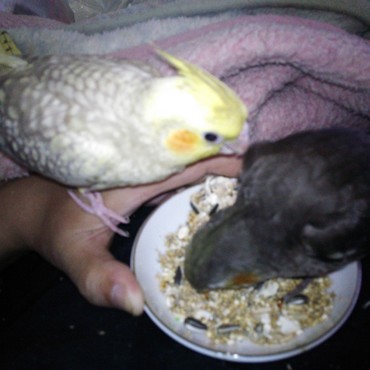 一緒にもぐもぐ