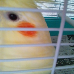 ゆきとの出会い