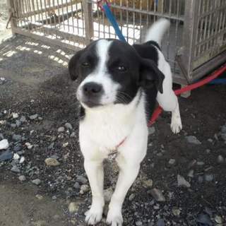 この子の命を救ってください。