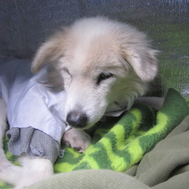 りっきー（＾＾）のカバー写真