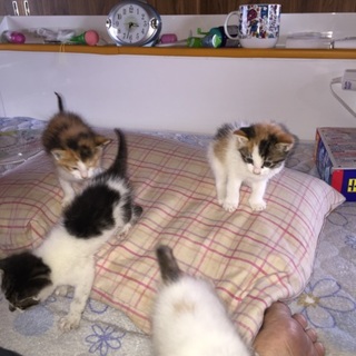 多数の応募、ありがとうございました