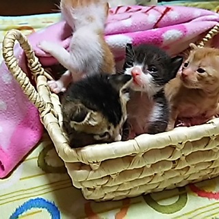 一旦停止致します。