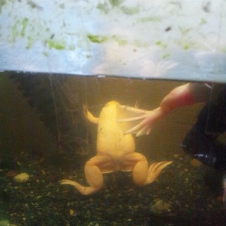  沢山のご応募ありがとうございました。