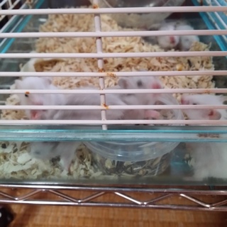 たくさんの応募ありがとうございましたm(_ _)m