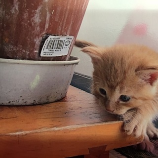 沢山のご応募ありがとうございました