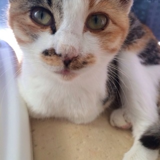 貴方を待っています。