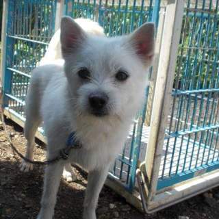 この子の命を救ってください。