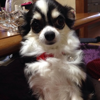 応募多数の為一旦募集中止致します。