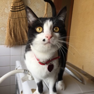 おてんばな女の子( ^ω^ )梅さん