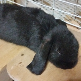 沢山のご応募ありがとうございました♪