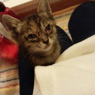 イケメン元気な男の子