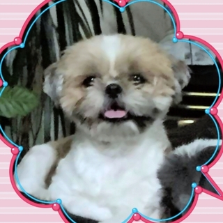 穏やか笑顔の女の子♥小柄なラブちゃん♥