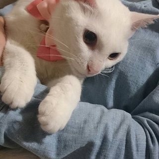 甘えん坊キューと白女子♪