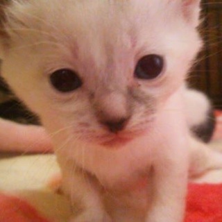 3月29日生まれ☆