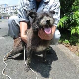 この子の命を救ってください。